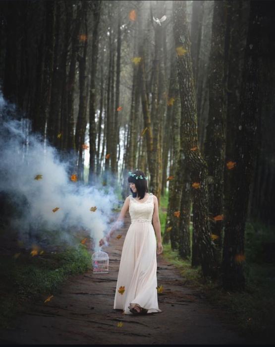 Wisata Alam Hutan Pinus